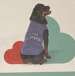 BOOTS & BARKLEY Medium Tank Top "I'M THE ALPHA" Dog Apparel New